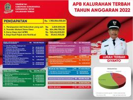 Infografis Anggaran Pendapatan dan Belanja Kalurahan Terbah T.A 2022